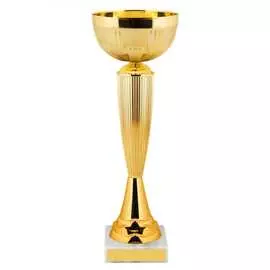 Кубок ООО Комус