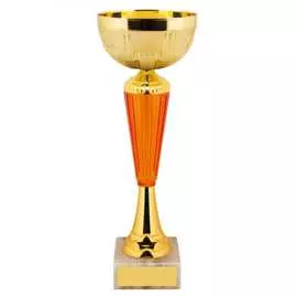 Кубок ООО Комус