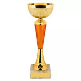 Кубок ООО Комус