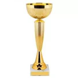 Кубок ООО Комус