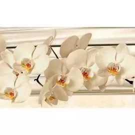 Кухонный фартук ООО ДЕКОР ТРЕЙДИНГ