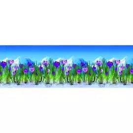 Кухонный фартук ООО ДЕКОР ТРЕЙДИНГ