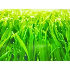 Кухонный фартук ООО ДЕКОР ТРЕЙДИНГ