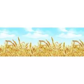 Кухонный фартук ООО ДЕКОР ТРЕЙДИНГ