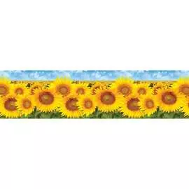 Кухонный фартук ООО ДЕКОР ТРЕЙДИНГ