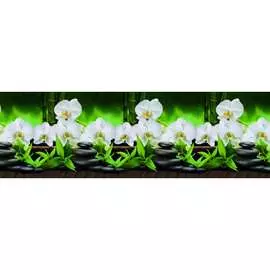 Кухонный фартук ООО ДЕКОР ТРЕЙДИНГ