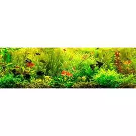 Кухонный фартук ООО ДЕКОР ТРЕЙДИНГ