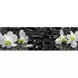 Кухонный фартук ООО ДЕКОР ТРЕЙДИНГ