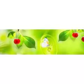 Кухонный фартук ООО ДЕКОР ТРЕЙДИНГ