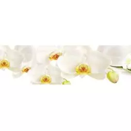 Кухонный фартук ООО ДЕКОР ТРЕЙДИНГ