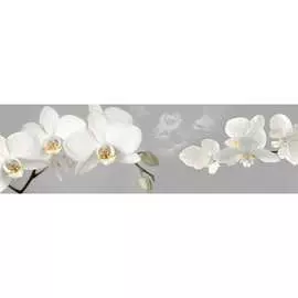 Кухонный фартук ООО ДЕКОР ТРЕЙДИНГ