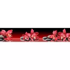 Кухонный фартук ООО ДЕКОР ТРЕЙДИНГ