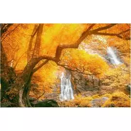 Кухонный фартук ООО ДЕКОР ТРЕЙДИНГ