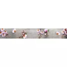 Кухонный фартук ООО ДЕКОР ТРЕЙДИНГ