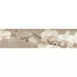 Кухонный фартук ООО ДЕКОР ТРЕЙДИНГ