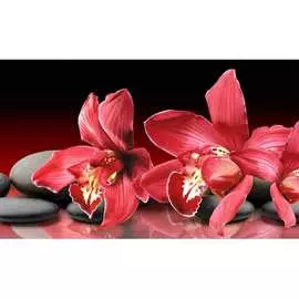 Кухонный фартук ООО ДЕКОР ТРЕЙДИНГ