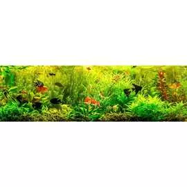 Кухонный фартук ООО ДЕКОР ТРЕЙДИНГ