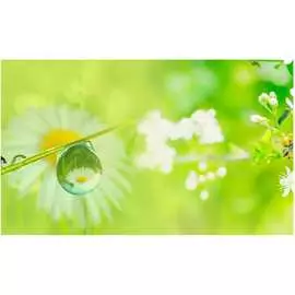 Кухонный фартук ООО ДЕКОР ТРЕЙДИНГ