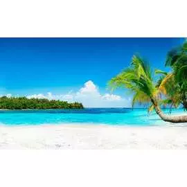 Кухонный фартук ООО ДЕКОР ТРЕЙДИНГ