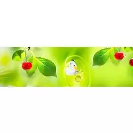 Кухонный фартук ООО ДЕКОР ТРЕЙДИНГ