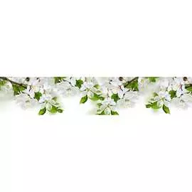 Кухонный фартук ООО ДЕКОР ТРЕЙДИНГ