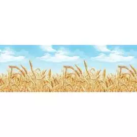 Кухонный фартук ООО ДЕКОР ТРЕЙДИНГ