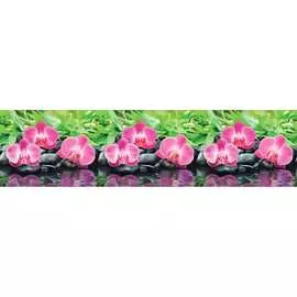 Кухонный фартук ООО ДЕКОР ТРЕЙДИНГ