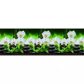 Кухонный фартук ООО ДЕКОР ТРЕЙДИНГ