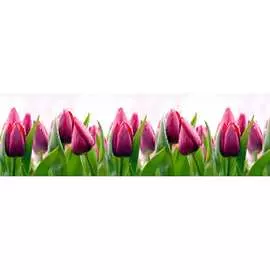 Кухонный фартук ООО ДЕКОР ТРЕЙДИНГ