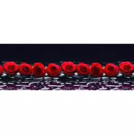 Кухонный фартук ООО ДЕКОР ТРЕЙДИНГ