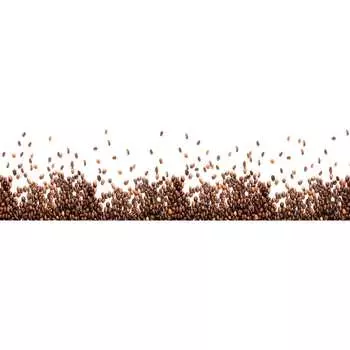 Кухонный фартук Студия фартуков Зерна кофе на белом фоне 3202271