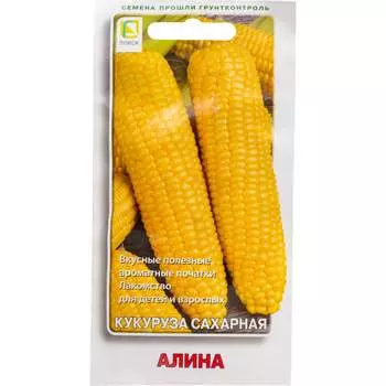 Кукуруза сахарная Агрохолдинг ПОИСК Алина 810711