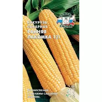 Кукуруза СеДек Ранняя Лакомка 121 сахарная, раннеспелая, початок конический, 14-16 см, желто-оранжевая, 170-230 г, 14398