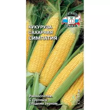 Кукуруза СеДек Симпатия F1 сахарная, раннеспелая, початок конический, 15-17 см, желтая, 200-230 г, евро, 4 г 15109