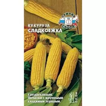 Кукуруза СеДек Сладкоежка сахарная, среднеспелая, початок цилиндрический, 20-22 см, желто-оранжевая, 250-300 г, евр 14200