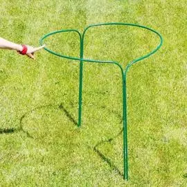 Кустодержатель Садовита