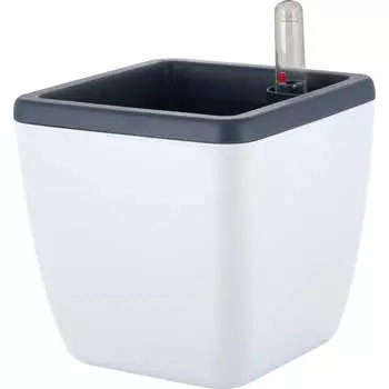 Квадратный горшок INGREEN munchen IG622311048