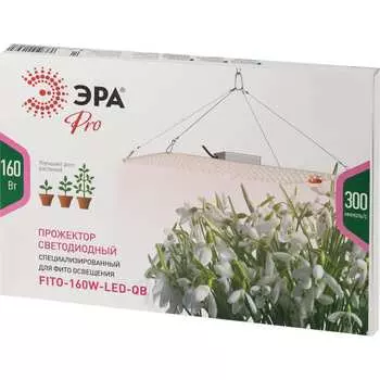 Квантум борд ЭРА FITO160WLEDQB Quantum board Б0057283