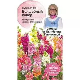 Львиный зев семена ОКТЯБРИНА ГАНИЧКИНА