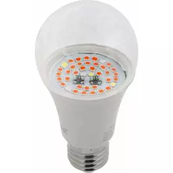 Лампа ЭРА Б0050601