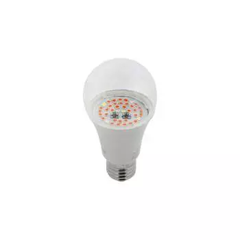 Лампа ЭРА FITO 14W RB E27 Б0050602