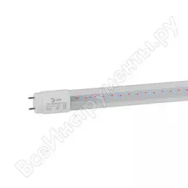 Лампа для растений ЭРА FITO9WRBТ8G13NL Б0042986