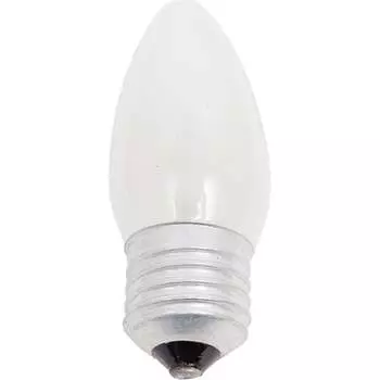 Лампа накаливания Favor 8109020