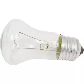 Лампа накаливания КЭЛЗ 8106005