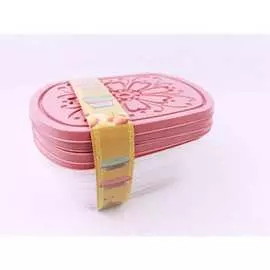 Ланч-бокс Bikson ТП6307