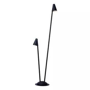 Ландшафтный светильник ARTE LAMP MUPHRID A4109PA-2BK