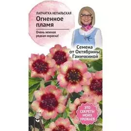 Лапчатка семена ОКТЯБРИНА ГАНИЧКИНА