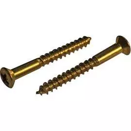 Латунированный шуруп ЦКИ