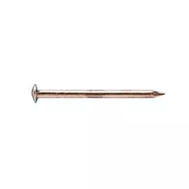 Латунированный стальной закаленный гвоздь ЕВРОПАРТНЕР 2х25 30 шт. 13 7379 1
