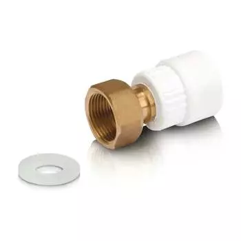 Латунная муфта Blue Ocean PPRF/CA-FTNB(W)-20х1/2"